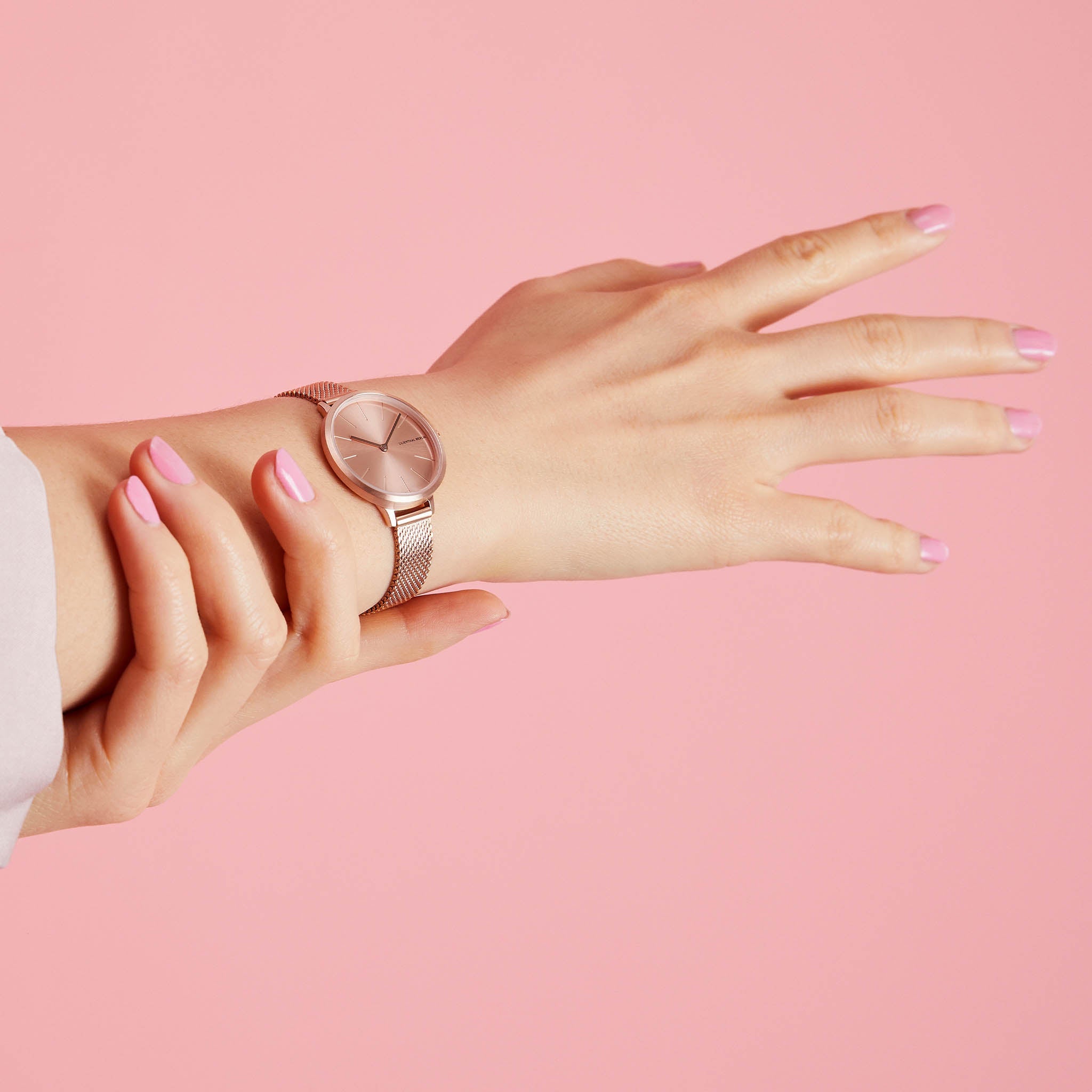 Rosalux Rose Bloom - Lilienthal Berlin