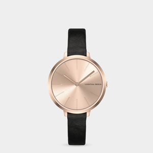 Rosalux Rose Bloom - Lilienthal Berlin